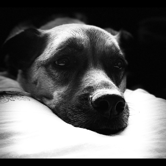 Meet your Posher, Krysten - Picture 1 of 1